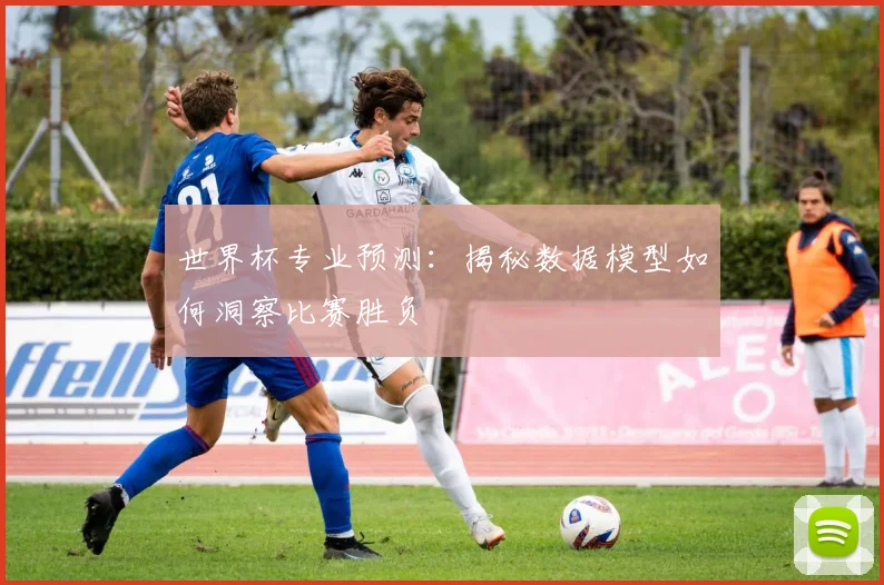 世界杯专业预测：揭秘数据模型如何洞察比赛胜负